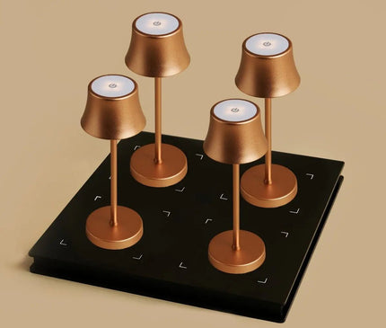 Lot Lampes Design Rechargeables