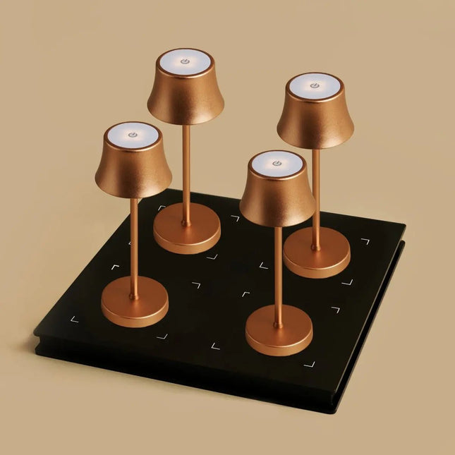 Lot Lampes Design Rechargeables