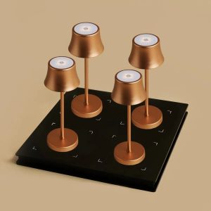 Lot Lampes Design Rechargeables