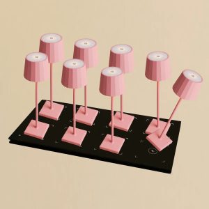 Collection Lampes Roses Sans Fil