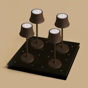 Lot Lampes Sans Fil Induction