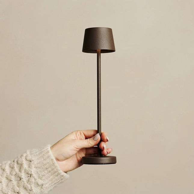Lot De Lampes Sans Fil Modernes