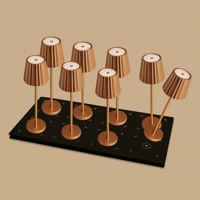 Lot De Lampes Rechargeables Design