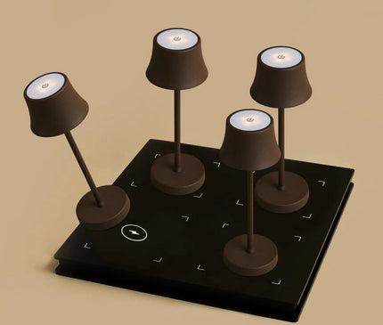 Lot Lampes Sans Fil Induction