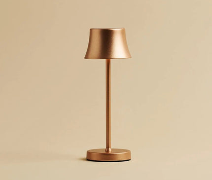 Lot Lampes Design Rechargeables