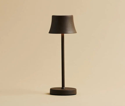 Lot Lampes Sans Fil Induction