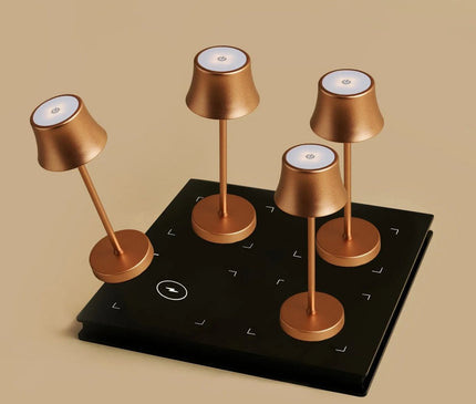 Lot Lampes Design Rechargeables