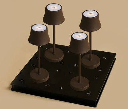 Lot Lampes Sans Fil Induction