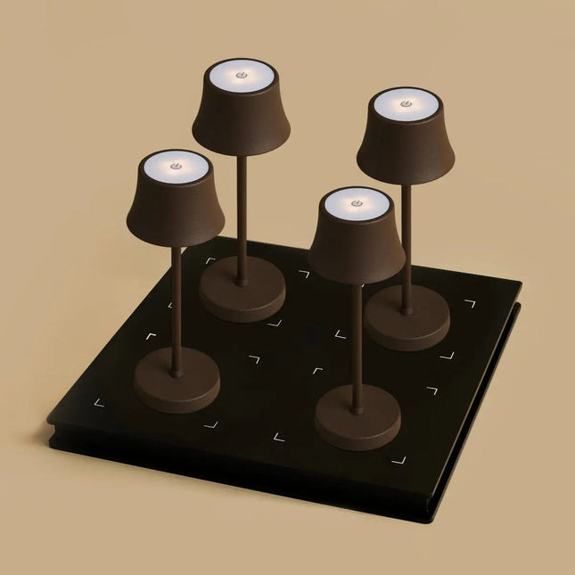 Lot Lampes Sans Fil Induction